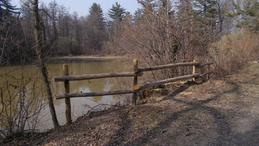 17 marzo 2017 Parco La Mandria-Scorcio sul lago della Strada