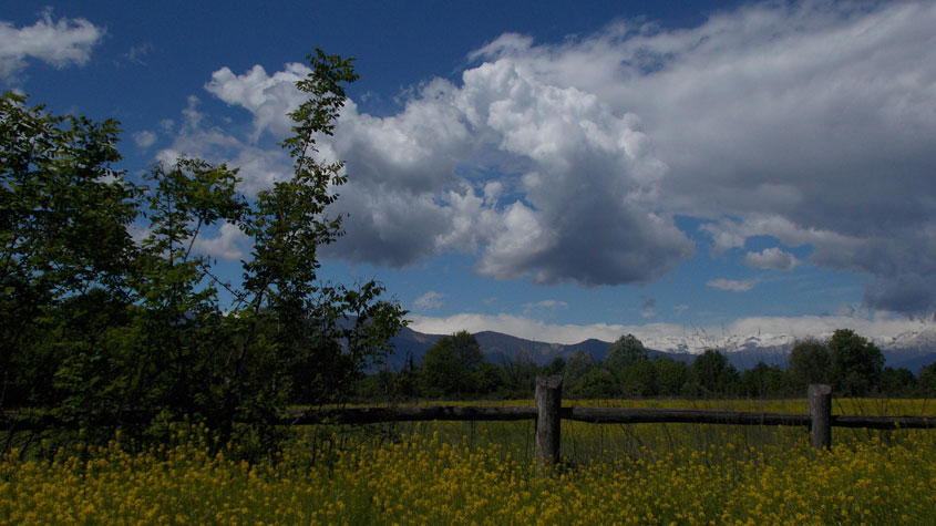 28 aprile 2017 Parco La Mandria-Scorcio verso le Alpi