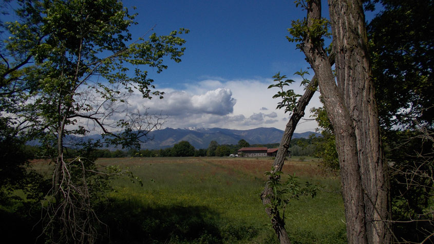 2 maggio 2017 Parco La Mandria-Scorcio su Alpi,nuvole e cascina Prato Pascolo