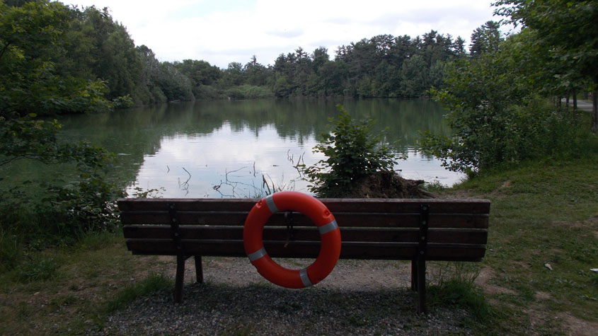 8 giugno 2017 Parco La Mandria-Scorcio sul Lago Cristoforo