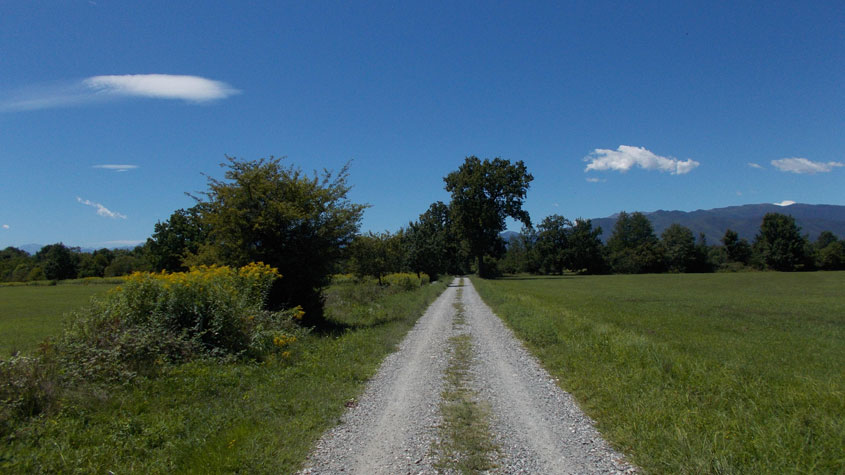 27 luglio 2017 Parco La Mandria-Scorcio