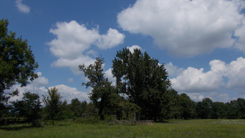 9 agosto 2017 Parco La Mandria-Scorcio