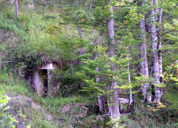 accesso M6 con strana conformazione tra gli alberi notata zumando la foto precedante