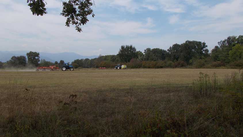 7 settembre 2017 Parco La Mandria-Scorcio e lavori agricoli