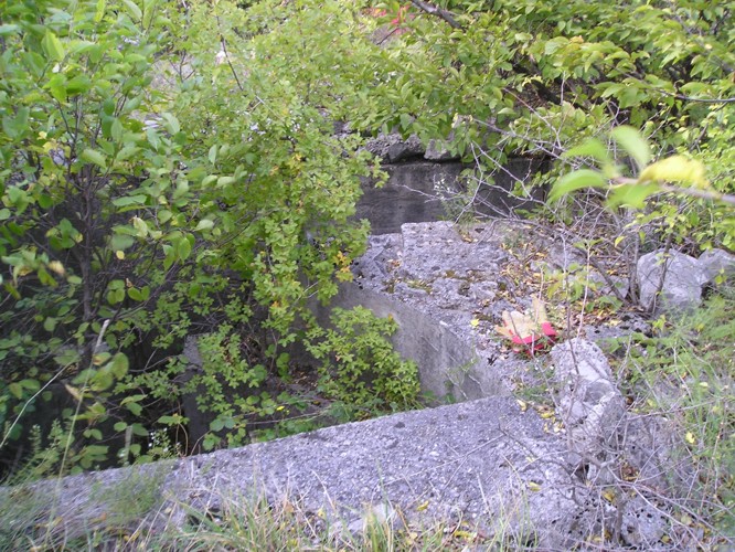 Le frasche non permettono la vista di quella che parrebbe una postazione per mitragliera pesante:
