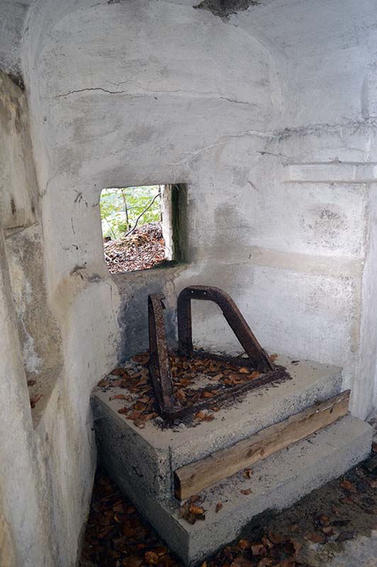 DSC 0600