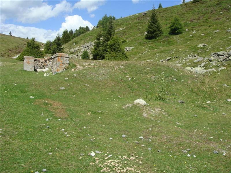 DSC09675.JPG