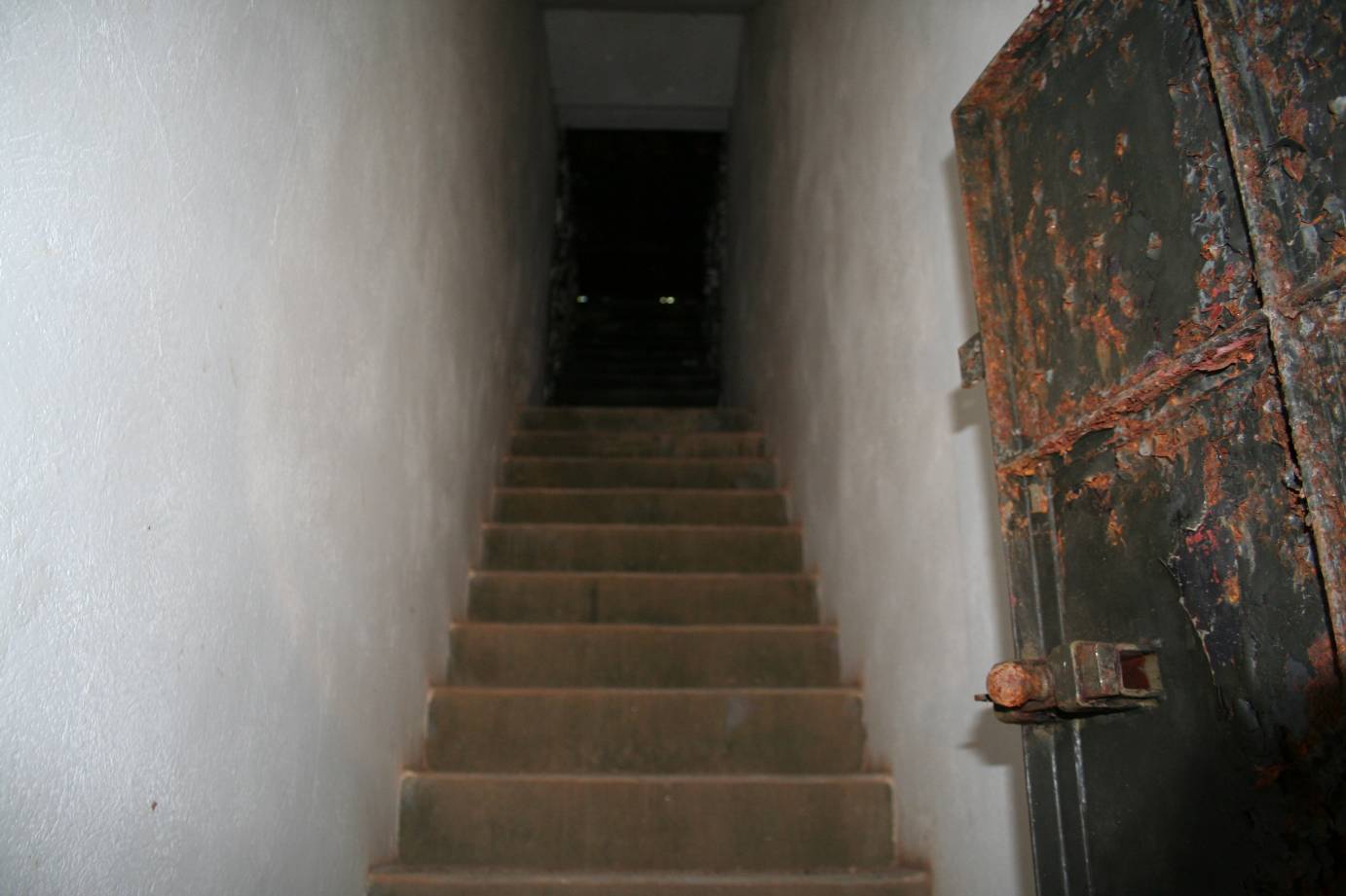 resized_Immagine 073.jpg