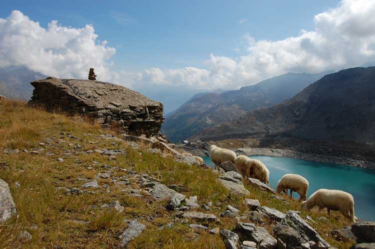 23 settembre 2011-Lago Serrù-Parco Nazionale del Gran Paradiso