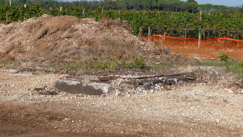 B06.jpg