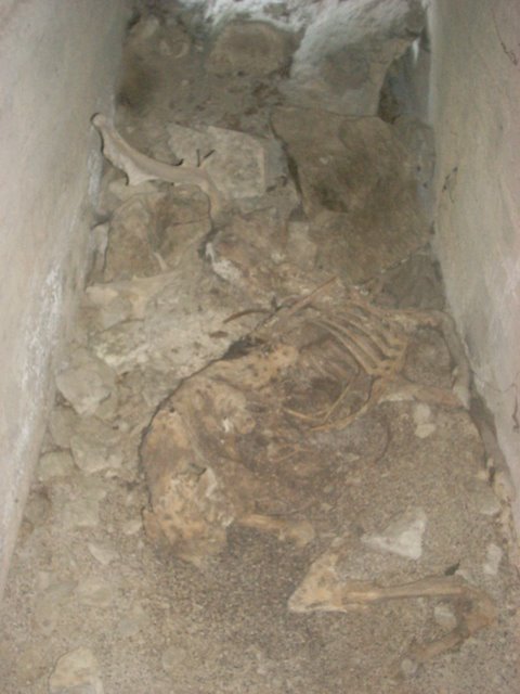 DSCN3774.jpg