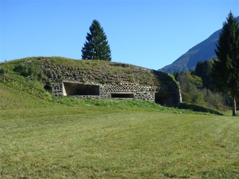 DSC00693 (Medium).JPG