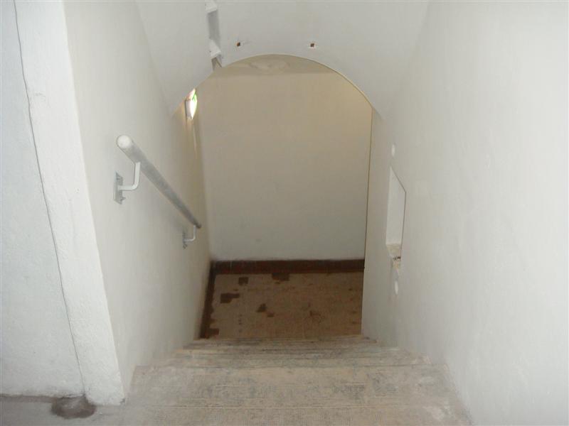 DSC00672 (Medium).JPG