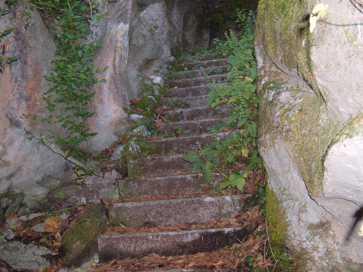 DSCF0081.JPG