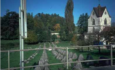 denti.jpg