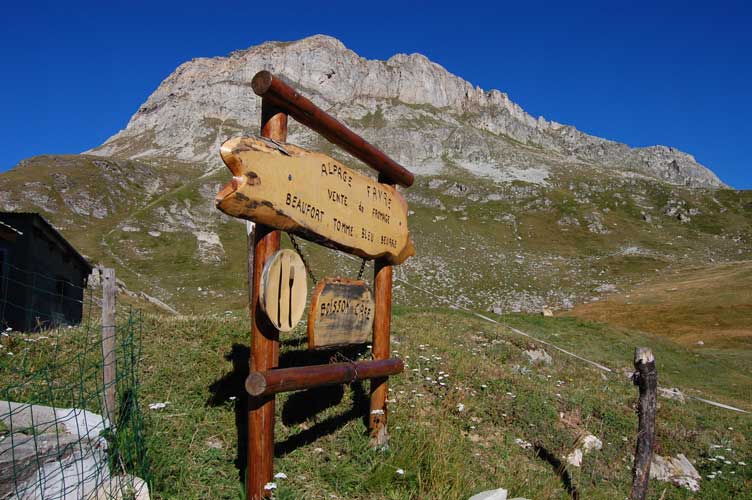 La Pointe de Bellecombe vista dall'alpeggio