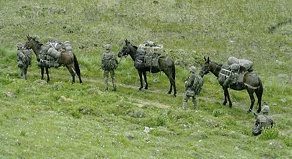 kossovo2002.jpg