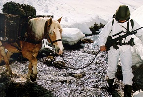 campo invernale