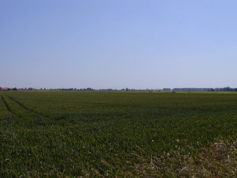 a sinistra in basso la depressione creata dal cedimento del terreno in seguito alle piogge sulla mina esplosa nel 1955