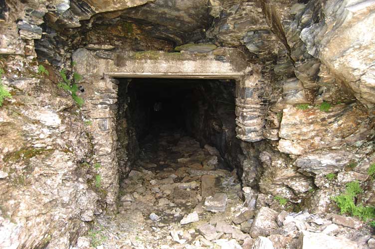 Particolare dell'ingresso