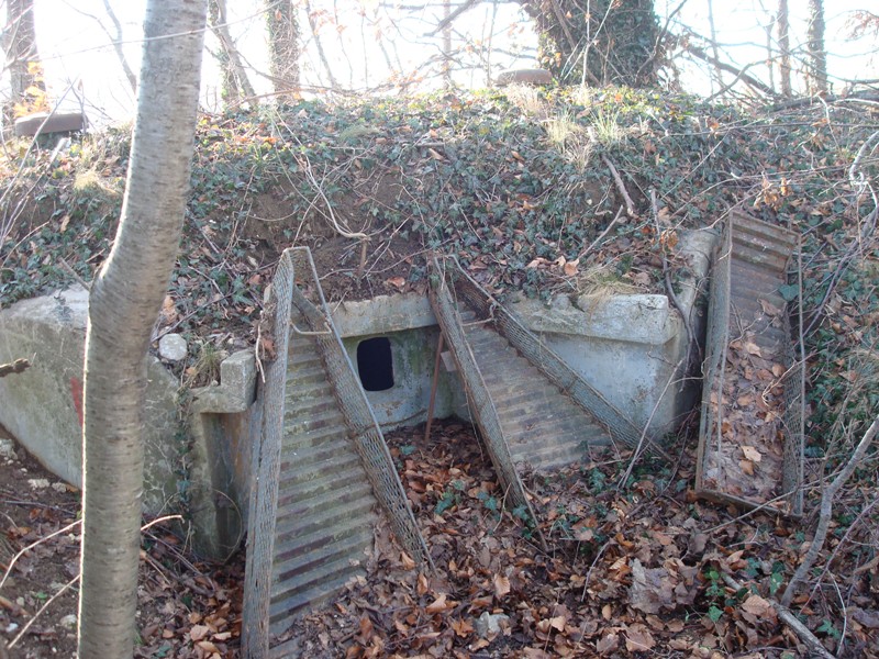 1 - Ponte San Quirino M7.JPG