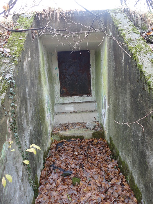 DSC00800.JPG