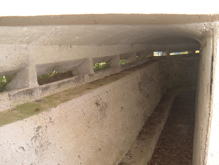 osservatorio
