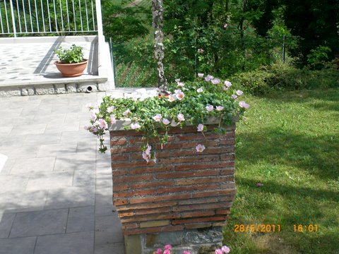 ... cosi' mia moglie sara' contenta....