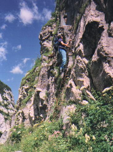 PMCCarnico.jpg