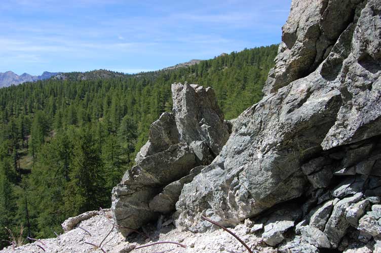 Vista esterna sui boschi verso Clot Foiron