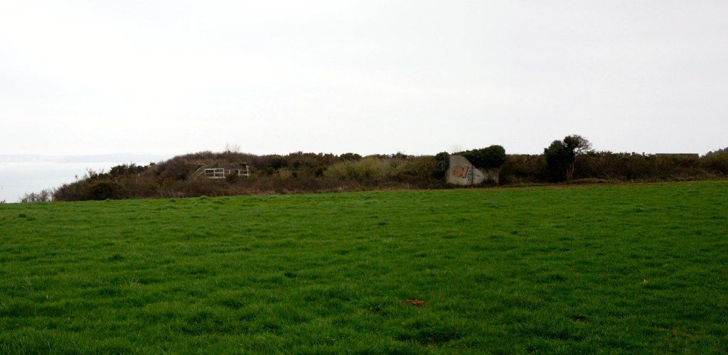 P1310087_stitch.jpg