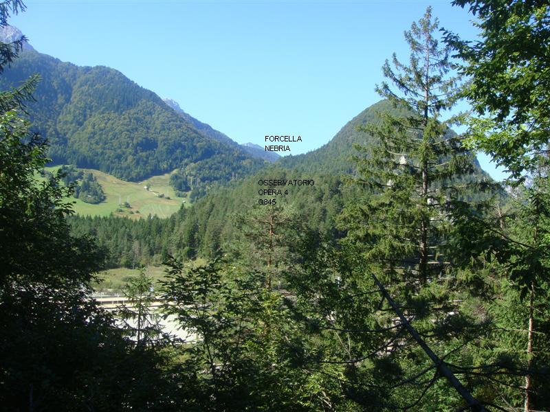DSC04591m.JPG