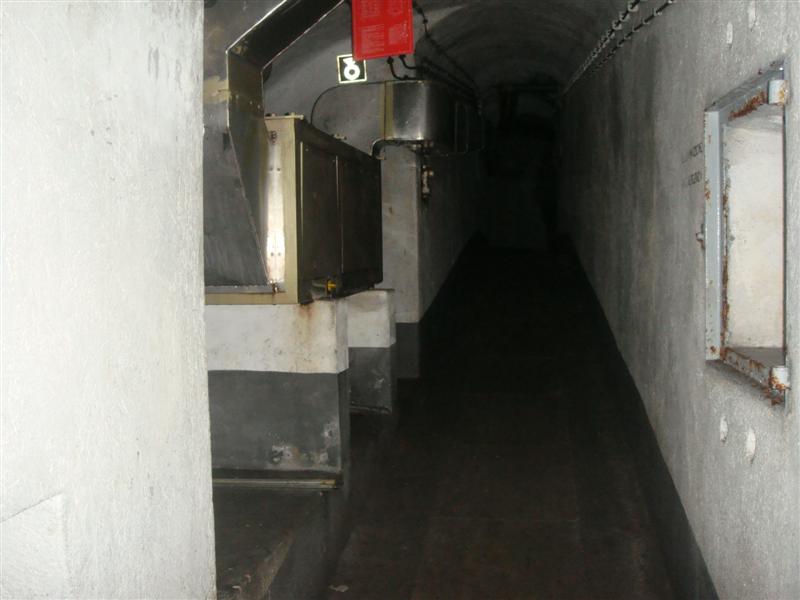 DSC04527.JPG
