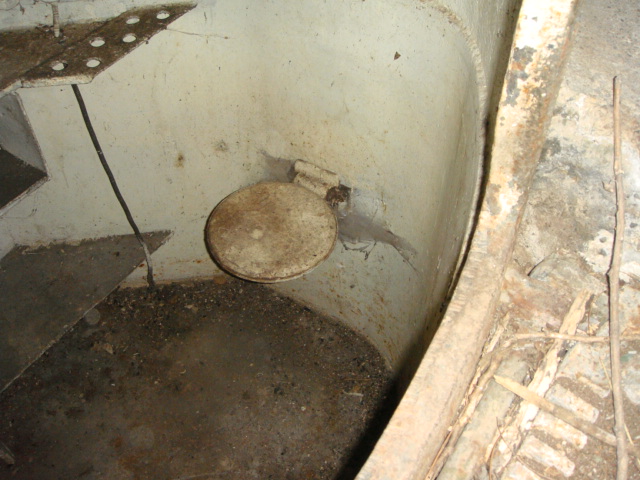 panzernest DSC03018.JPG