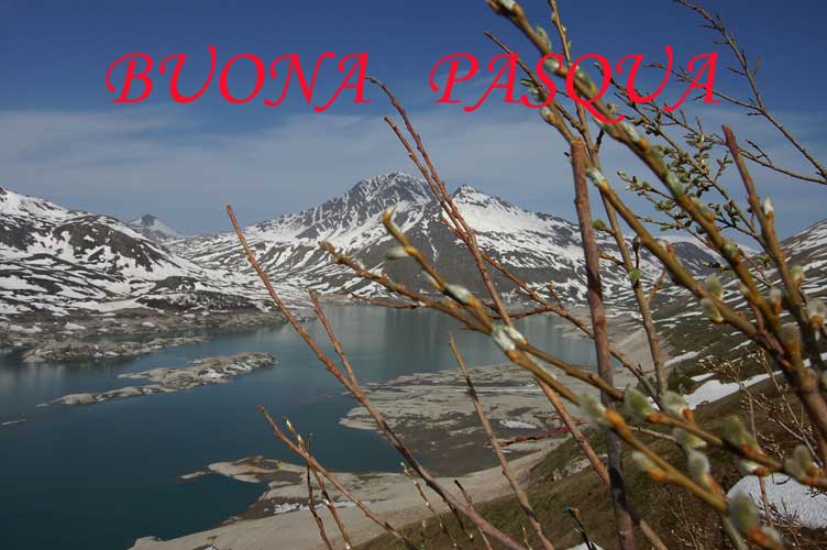 BUONA PASQUA