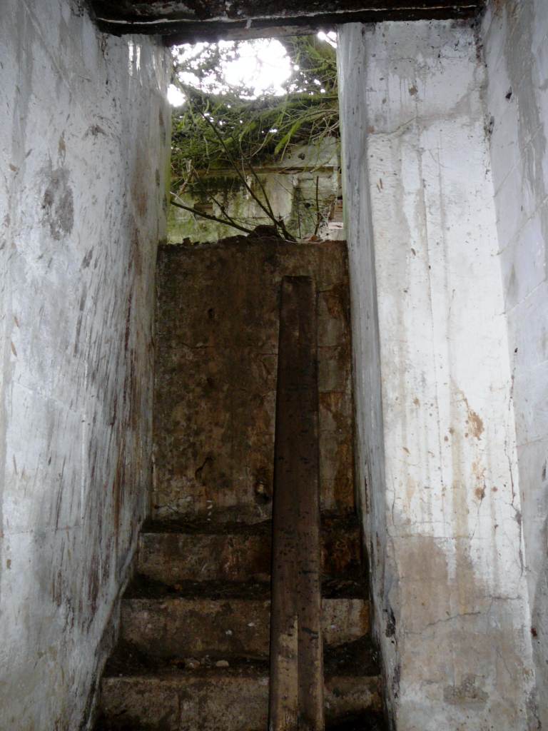 Uscita sulla parte ignota