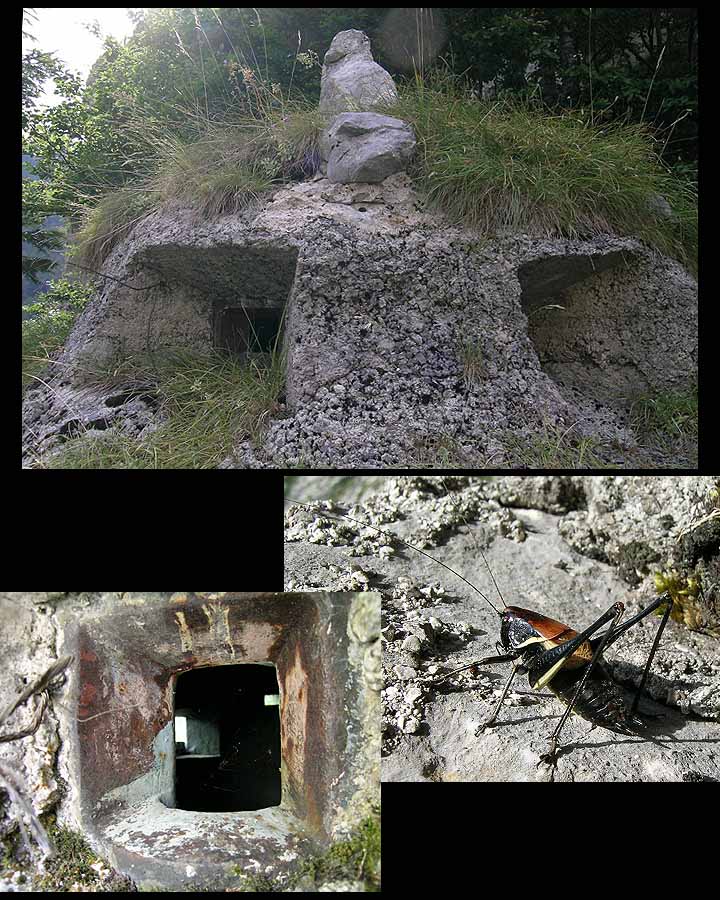 PassoMCCarnico-OperabassaOvestOsserv01.jpg