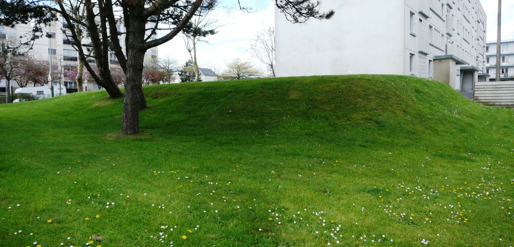 P1310749_stitch.jpg