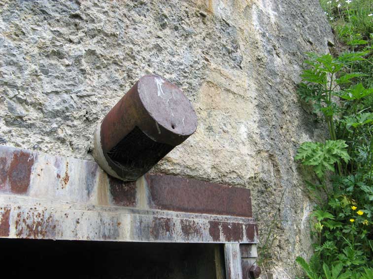 Il filtro della presa d'aria