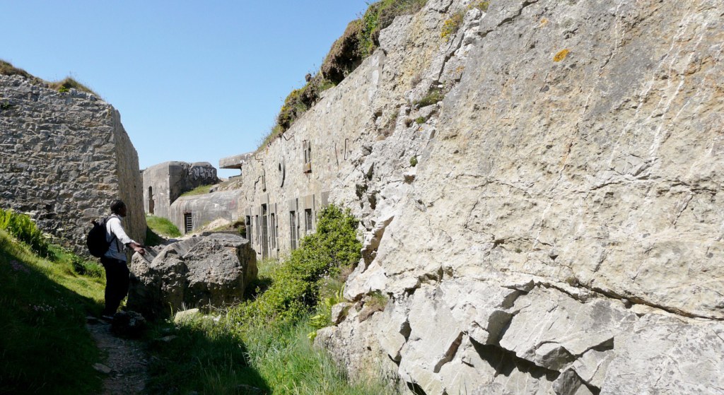 P1330668_stitch.jpg
