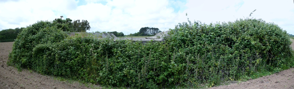 P1330841_stitch.jpg
