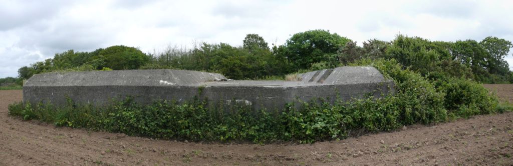 P1330845_stitch.jpg