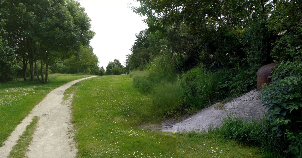 P1330896_stitch.jpg