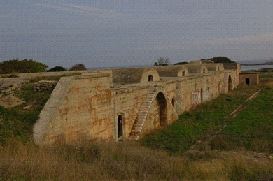 picture 6.jpg