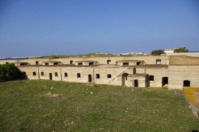 picture 5.jpg