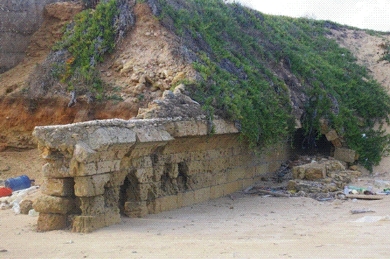 picture 4.jpg