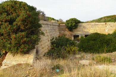 picture 3.jpg