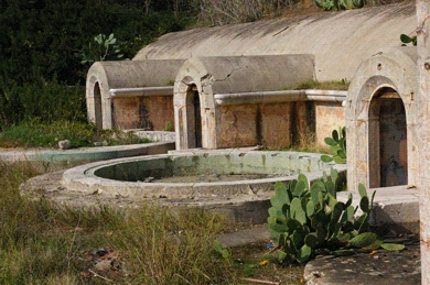 picture 2.jpg