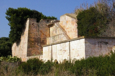 picture 1.jpg