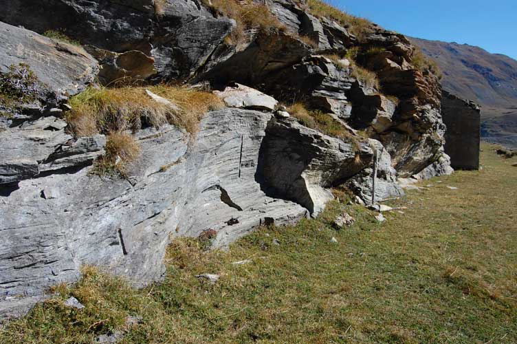 Ritorniamo verso la strada